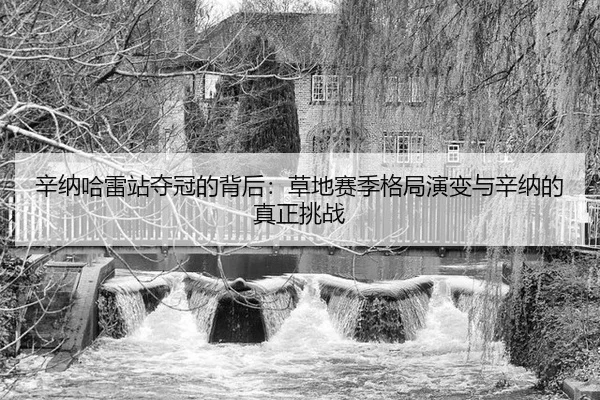 辛纳哈雷站夺冠的背后：草地赛季格局演变与辛纳的真正挑战