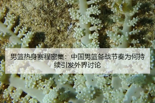 nan-lan-re-shen-sai-cheng-mi-ji-zhong-guo-nan-lan-bei-zhan-jie-zou-wei-he-chi-xu-yin-fa-wai-jie-tao-lun-2-402.jpg